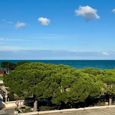 Coeur Du Port D'argeles Avec Vue Imprenable Daire