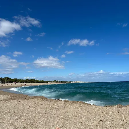 Daire Coeur Du Port D'argeles Avec Vue Imprenable *