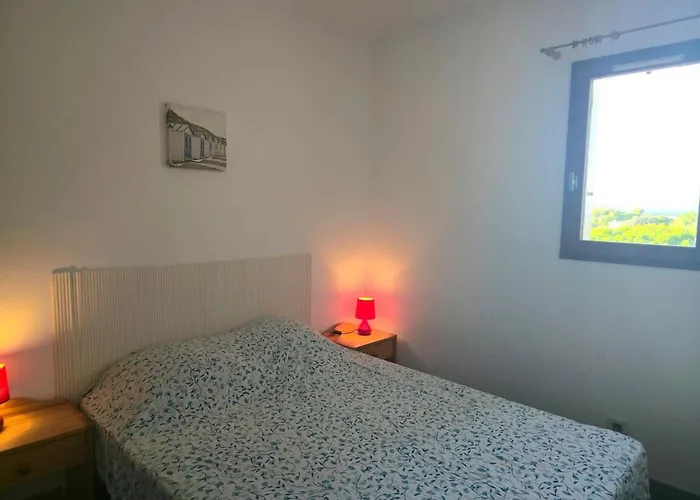 Coeur Du Port D'argeles Avec Vue Imprenable Διαμέρισμα